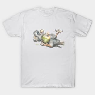 Dodo and the Coconut T-Shirt